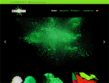 Tablet Screenshot of evoluzion.es